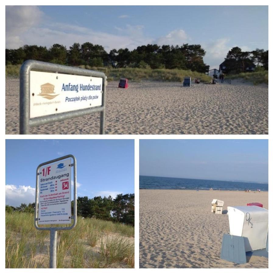 "Zander 2" Heringsdorf (Usedom) Exterior foto