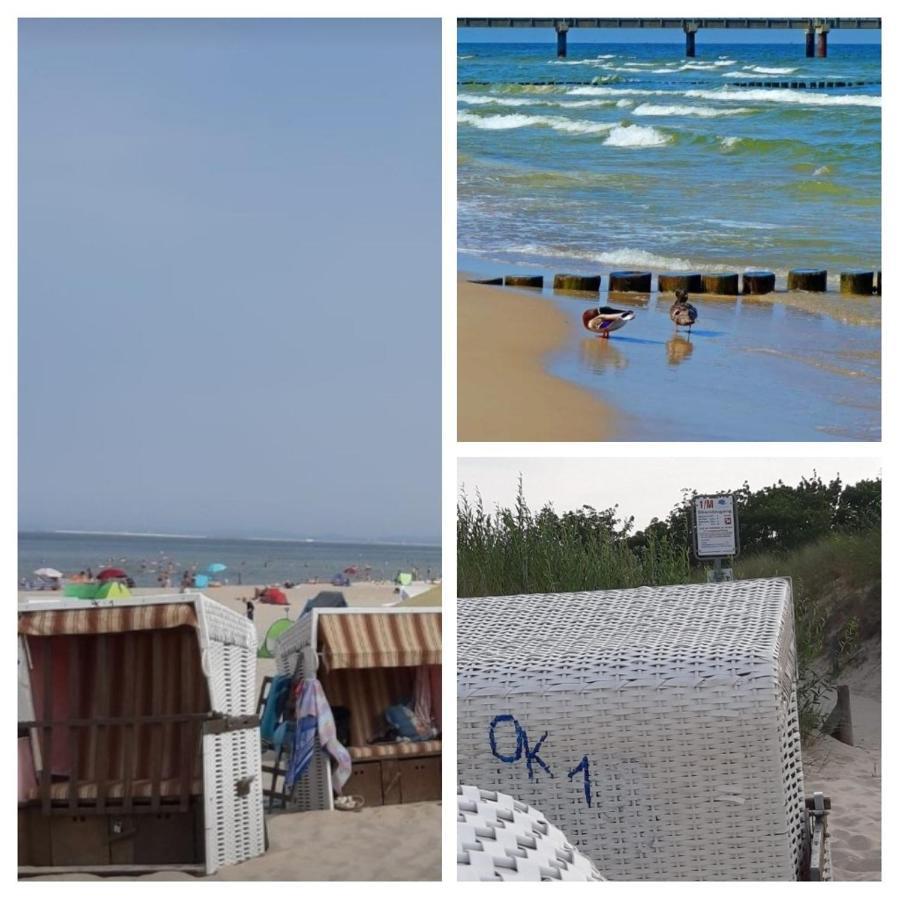 "Zander 2" Heringsdorf (Usedom) Exterior foto